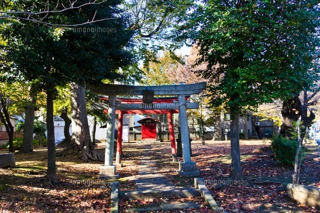 御嶽神社
(c)Yutaka Isayama/a.collectionRF
