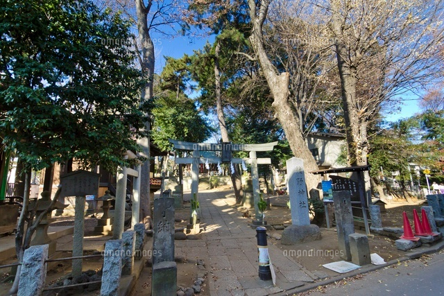 熊野神社
(c)Yutaka Isayama/a.collectionRF