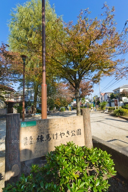 練馬区立 練馬けやき公園
(c)Yutaka Isayama/a.collectionRF