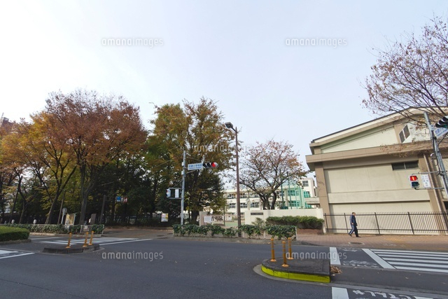 豊島区立池袋小学校
(c)Yutaka Isayama/a.collectionRF