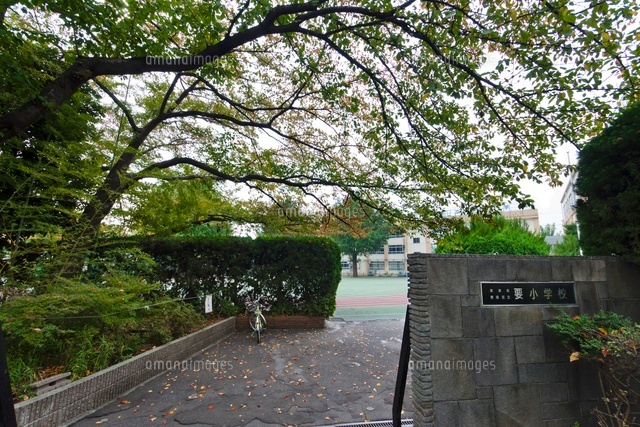 豊島区立要小学校
(c)Yutaka Isayama/a.collectionRF