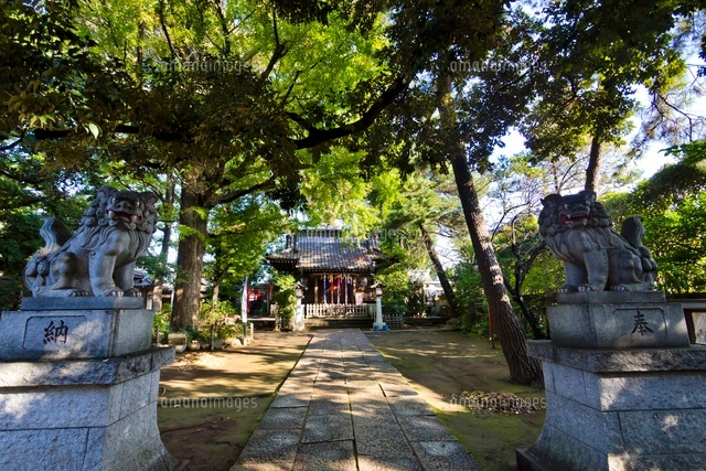 長崎神社
(c)Yutaka Isayama/a.collectionRF
