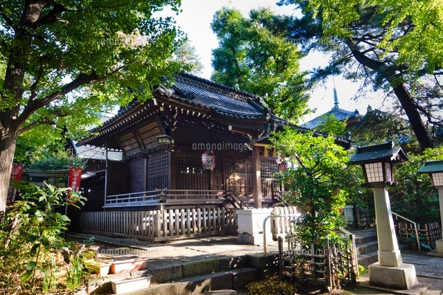 長崎神社
(c)Yutaka Isayama/a.collectionRF