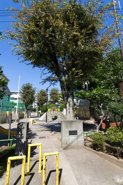 やよい児童遊園
(c)Yutaka Isayama/a.collectionRF