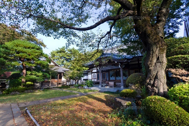 蓮華寺
(c)Yutaka Isayama/a.collectionRF