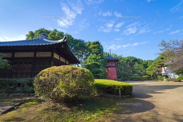 哲学堂公園
(c)Yutaka Isayama/a.collectionRF