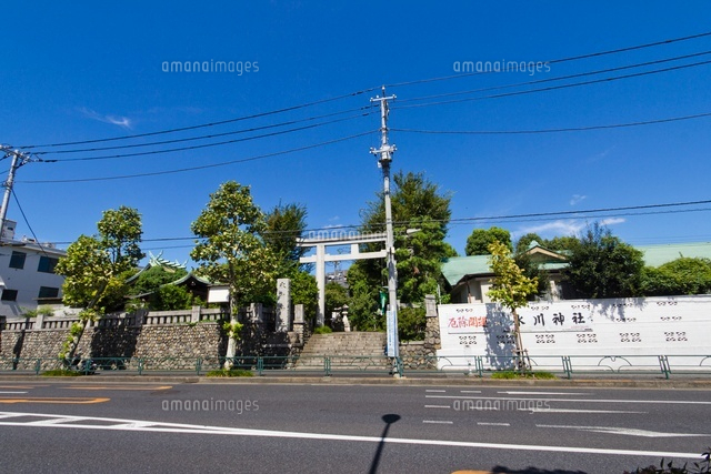 氷川神社
(c)Yutaka Isayama/a.collectionRF