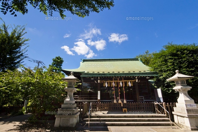 氷川神社
(c)Yutaka Isayama/a.collectionRF
