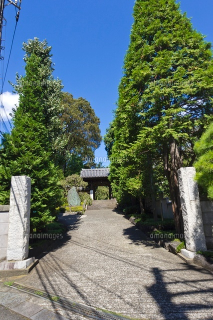 瑠璃山薬王院東長谷寺
(c)Yutaka Isayama/a.collectionRF