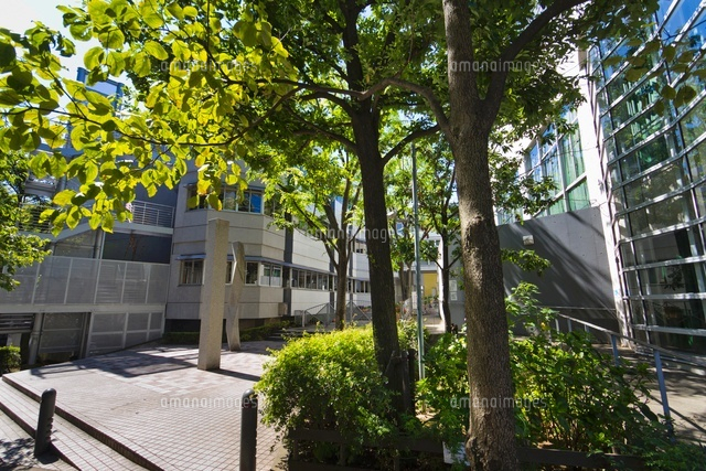 新宿区立落合中学校
(c)Yutaka Isayama/a.collectionRF