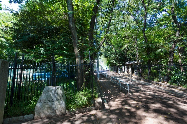 新宿区立おとめ山公園
(c)Yutaka Isayama/a.collectionRF