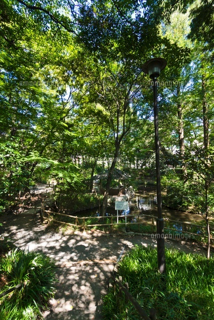 新宿区立おとめ山公園
(c)Yutaka Isayama/a.collectionRF