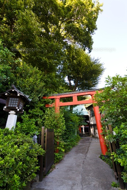 東山藤稲荷神社
(c)Yutaka Isayama/a.collectionRF