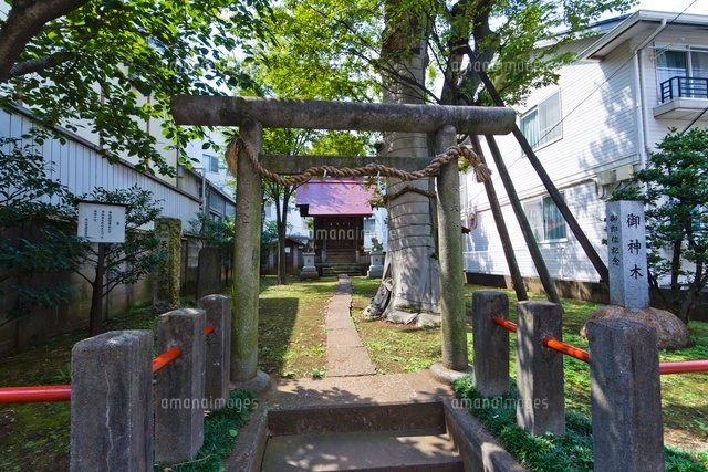 天祖神社
(c)Yutaka Isayama/a.collectionRF