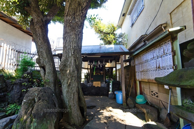 厳島神社
(c)Yutaka Isayama/a.collectionRF
