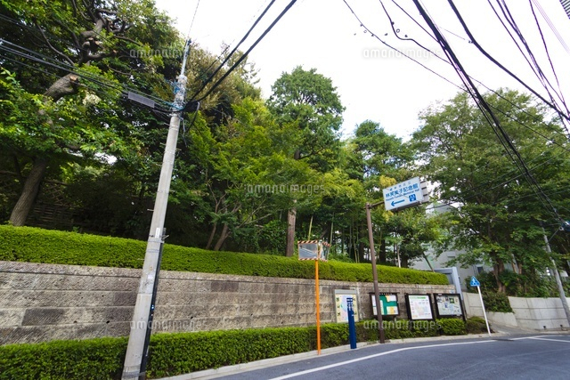新宿区立 林芙美子記念館
(c)Yutaka Isayama/a.collectionRF
