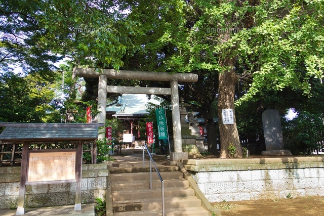 上高田氷川神社
(c)Yutaka Isayama/a.collectionRF