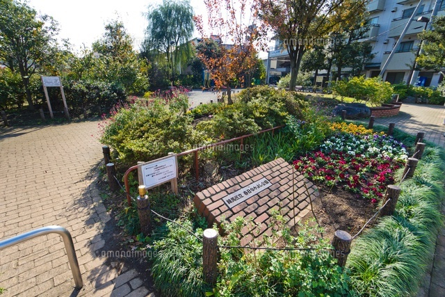 練馬区立 春日なかよし公園
(c)Yutaka Isayama/a.collectionRF