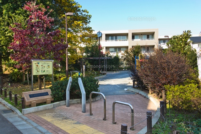 練馬区立春日町かしのき緑地
(c)Yutaka Isayama/a.collectionRF