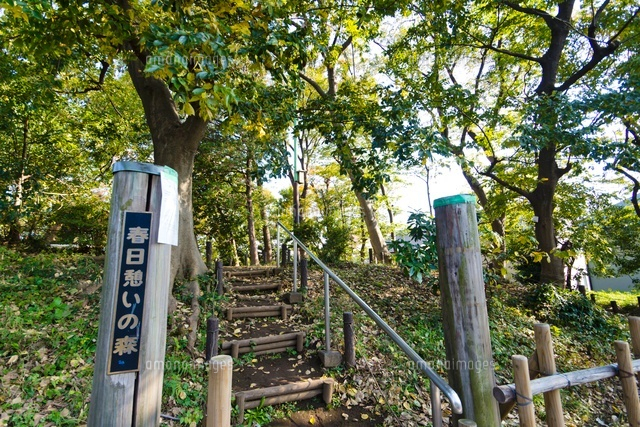春日憩いの森
(c)Yutaka Isayama/a.collectionRF