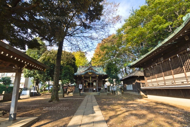 春日神社
(c)Yutaka Isayama/a.collectionRF