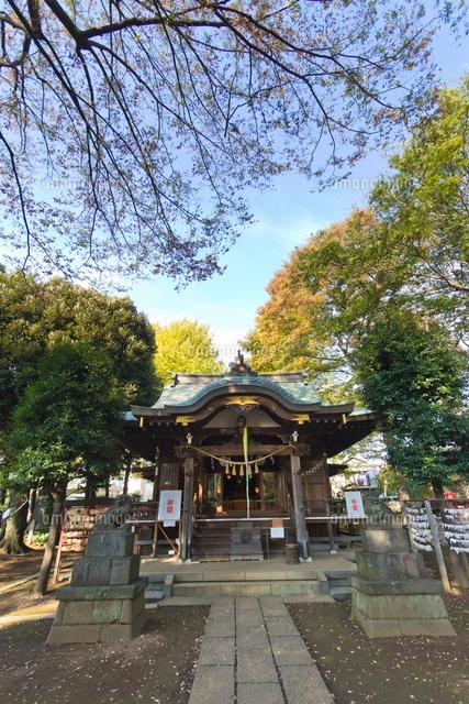 春日神社
(c)Yutaka Isayama/a.collectionRF