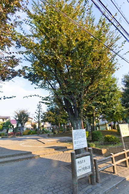 練馬区立けやき児童公園
(c)Yutaka Isayama/a.collectionRF