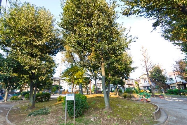 練馬区立けやき児童公園
(c)Yutaka Isayama/a.collectionRF