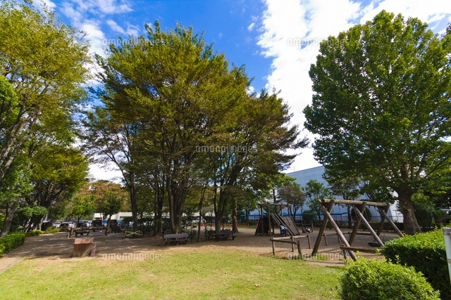 朝霞中央公園
(c)Yutaka Isayama/a.collectionRF
