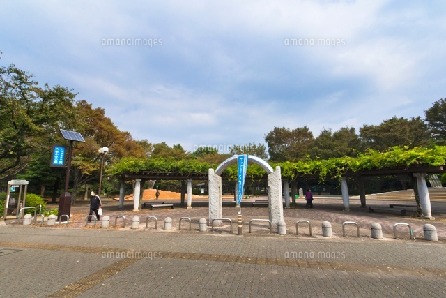 大泉中央公園
(c)Yutaka Isayama/a.collectionRF