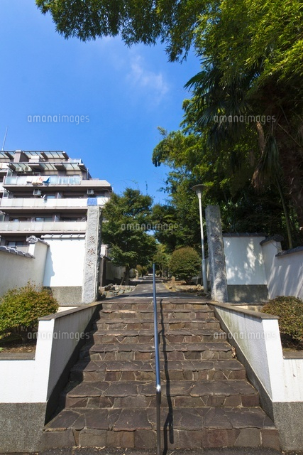 醫王山東林寺
(c)Yutaka Isayama/a.collectionRF