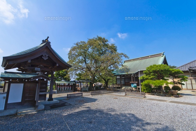 醫王山東林寺
(c)Yutaka Isayama/a.collectionRF