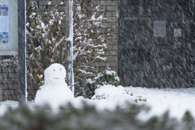 東京の大雪(2013年1月14日)/雪だるま
(c)Yutaka Isayama/a.collectionRF