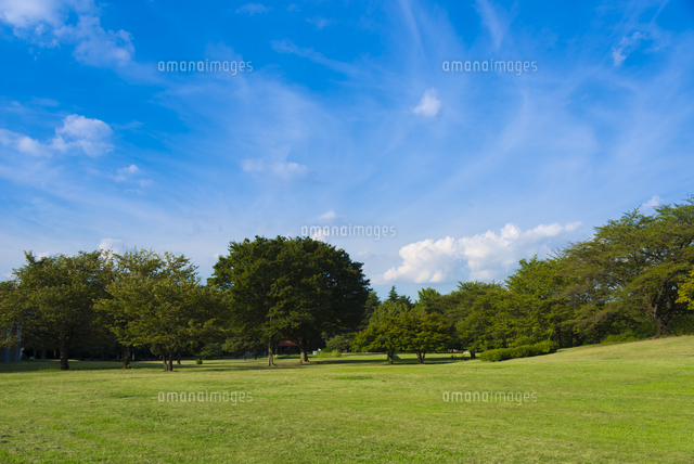 光が丘公園の緑
(c)Yutaka Isayama/a.collectionRF