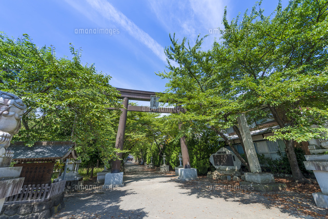浅間神社の鳥居(河口湖)
(c)Yutaka Isayama/a.collectionRF
