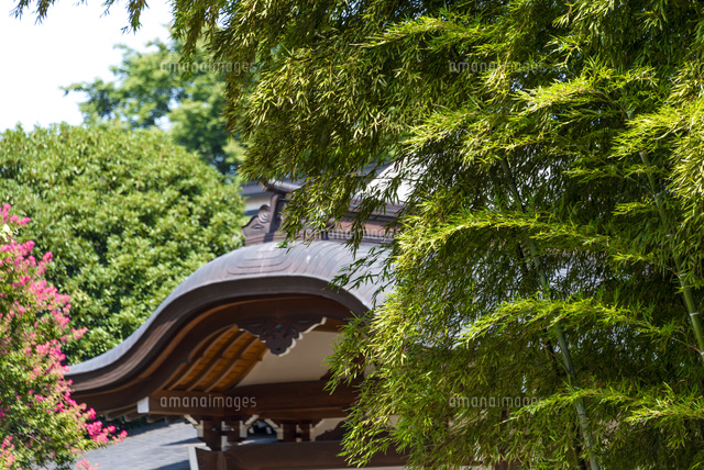 竹林と日本建築(長源寺)
(c)Yutaka Isayama/a.collectionRF