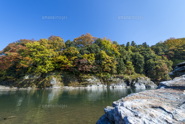 秋の長瀞 岩場と紅葉
(c)Yutaka Isayama/a.collectionRF