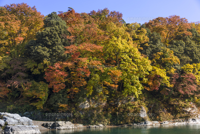 秋の長瀞 岩場と紅葉(横)
(c)Yutaka Isayama/a.collectionRF