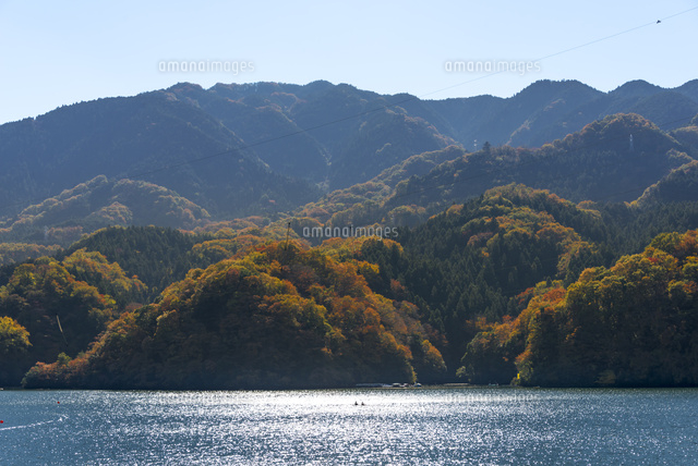 秋の相模湖 「ふるさとの森」方向
(c)Yutaka Isayama/a.collectionRF