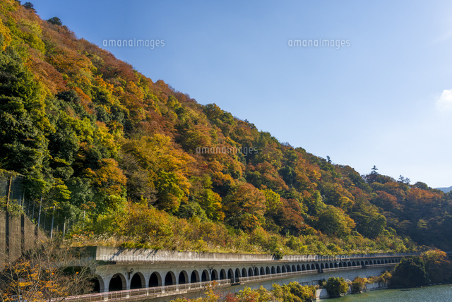 秋の相模湖 嵐山洞門(側面)
(c)Yutaka Isayama/a.collectionRF