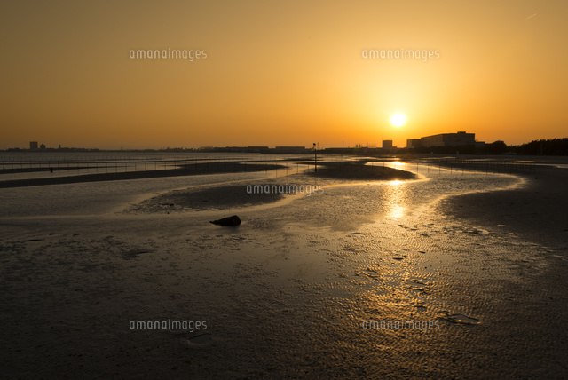 ふなばし三番瀬海浜公園・夕暮れ
(c)Yutaka Isayama/a.collectionRF