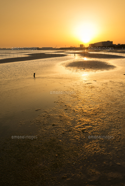 ふなばし三番瀬海浜公園・夕暮れ(縦)
(c)Yutaka Isayama/a.collectionRF
