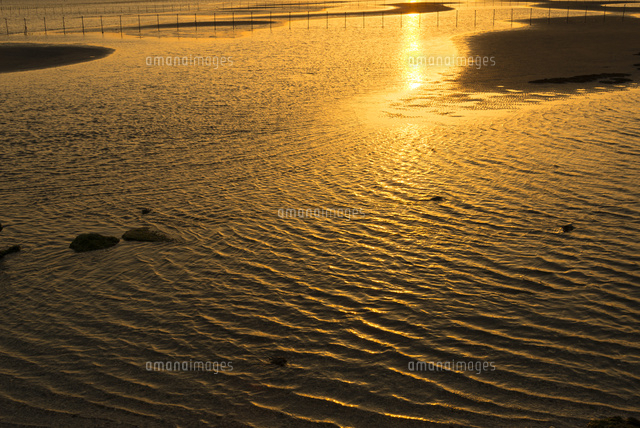ふなばし三番瀬海浜公園・夕暮れの干潟
(c)Yutaka Isayama/a.collectionRF