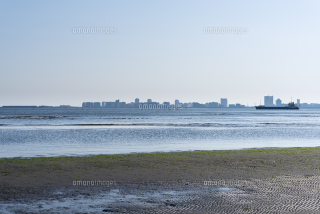 ふなばし三番瀬海浜公園から新浦安方面
(c)Yutaka Isayama/a.collectionRF
