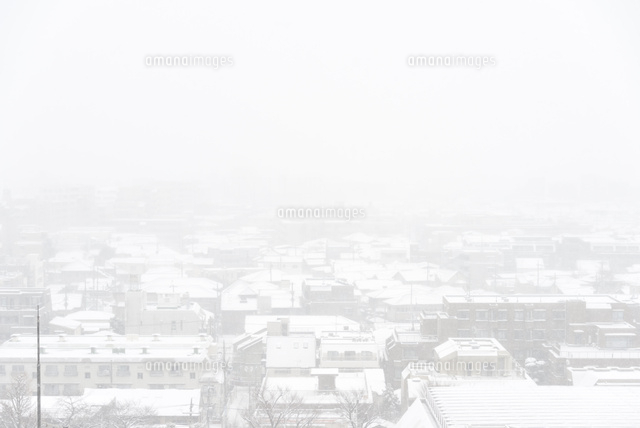 2014年2月8日・東京の大雪
(c)Yutaka Isayama/a.collectionRF