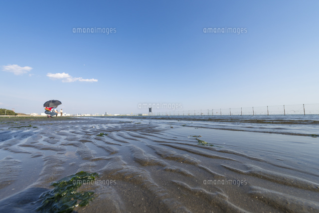 ふなばし三番瀬海浜公園・三番瀬の砂浜
(c)Yutaka Isayama/a.collectionRF