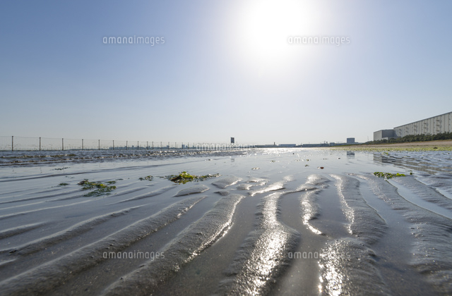 ふなばし三番瀬海浜公園・三番瀬の砂浜
(c)Yutaka Isayama/a.collectionRF