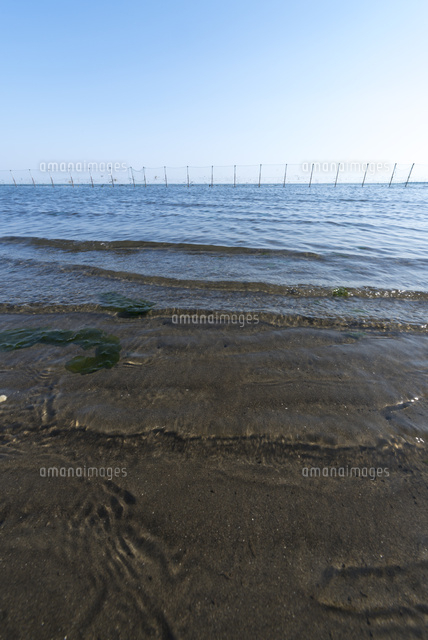 ふなばし三番瀬海浜公園・三番瀬の砂浜5
(c)Yutaka Isayama/a.collectionRF