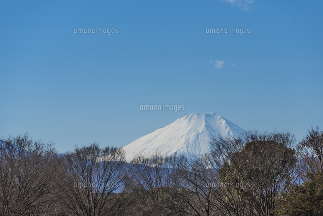 昭和記念公園からの富士山
(c)Yutaka Isayama/a.collectionRF