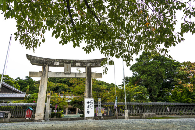 光雲神社の鳥居
(c)Yutaka Isayama/a.collectionRF